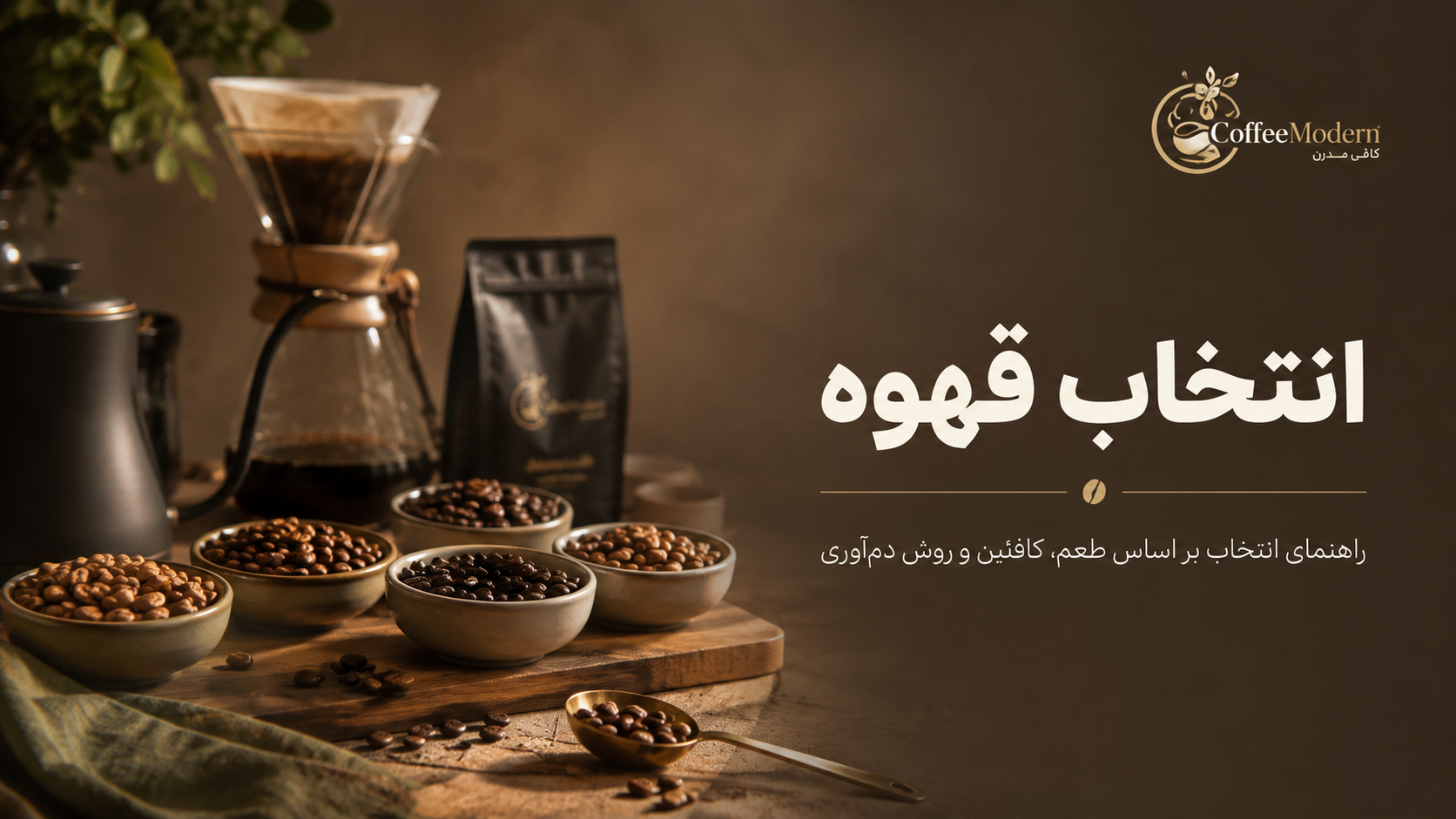 راهنمای کامل انتخاب دانه قهوه